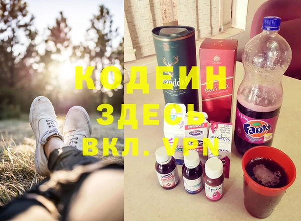 хмурый Алексин