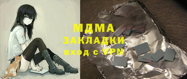 хмурый Алексин