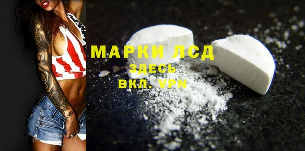 хмурый Алексин