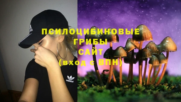 хмурый Алексин