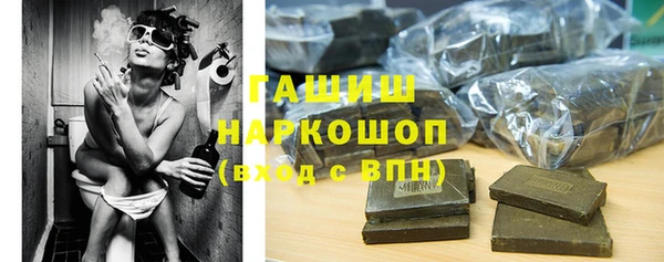 хмурый Алексин