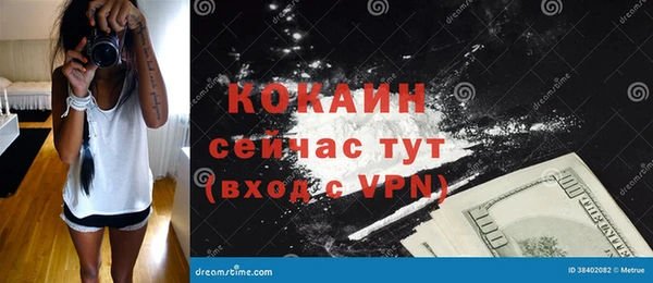 хмурый Алексин