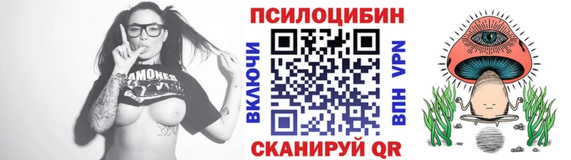 Галлюциногенные грибы мухоморы купить наркотик Заводоуковск