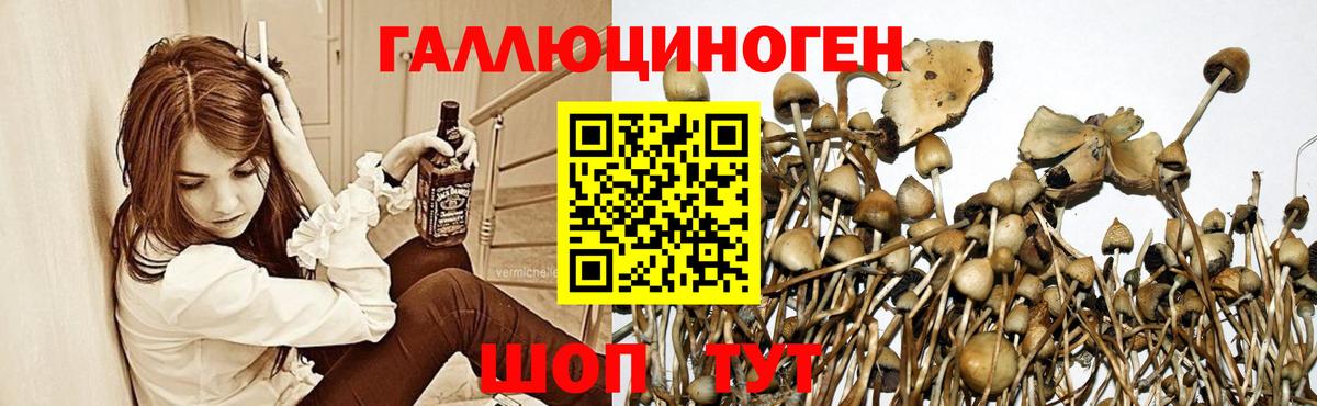 Заводоуковск  Псилоцибиновые грибы мухоморы  Вход с VPN 